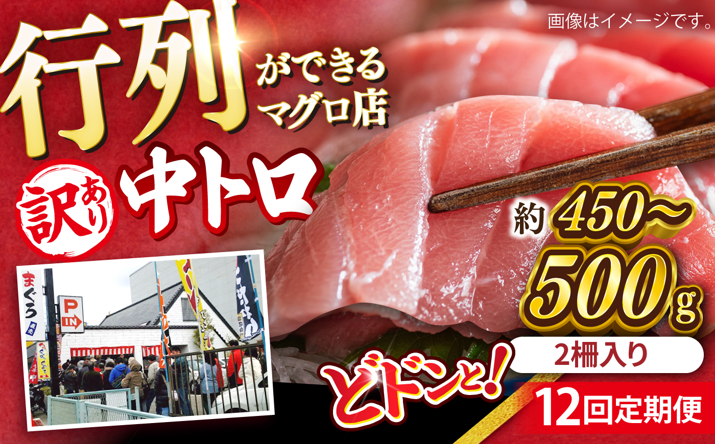 【全12回定期便】【訳あり】天然 まぐろ 中トロ メバチ （約450〜500g（2柵入り）） 鮪 マグロ まぐろ 魚 刺身 中とろ さしみ 横須賀【本まぐろ直売所】 [AKAK093]