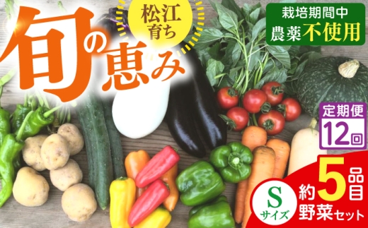 【野菜 定期便】こだわりの新鮮野菜 12回定期便 8品程度 Sサイズ 野菜 やさい 青果 朝採れ 新鮮 旬の野菜 ヤサイ ﾔｻｲ 季節の野菜 詰め合わせ セット 須山農園 島根県 松江市 詰め合わせ 定期便 [ALBD013]