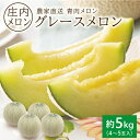 【ふるさと納税】庄内特産 青肉メロン グレース 約5kg 4〜5玉入り 6月下旬〜7月中旬頃お届け ※着日指定不可 青肉メロン 緑 果物 フルーツ 東北 山形県 酒田市 庄内 農家直送 産地直送 旬 夏