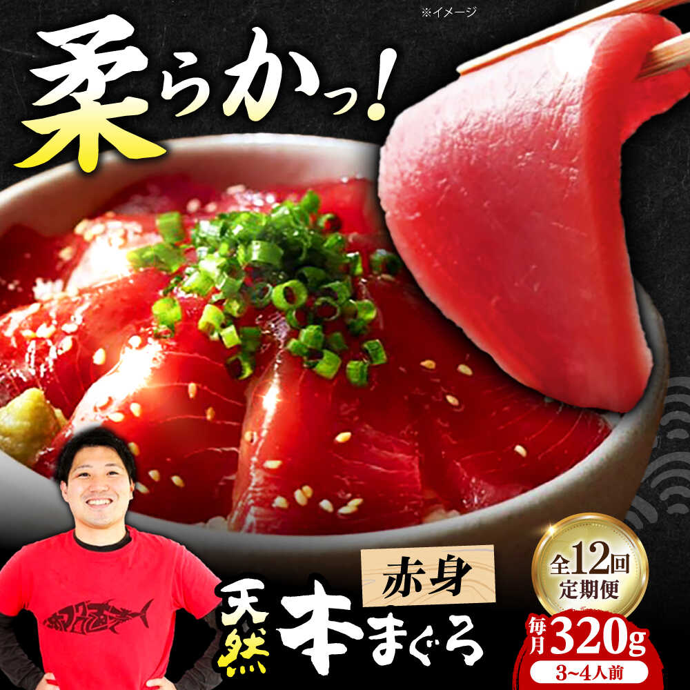 【ふるさと納税】【全12回定期便】極上！たね熟天然本まぐろ赤身(320g) 天然 マグロ 鮪 赤身 刺身 魚 魚介 大阪府高槻市/本まぐろ直売所[AOCE015]