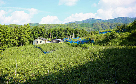 いの町観光協会　原　佐知 〒781-2110 高知県吾川郡いの町1692番9 TEL : 088-893-1211 FAX : 088-893-1205 Mail：kanko@inofan.jp