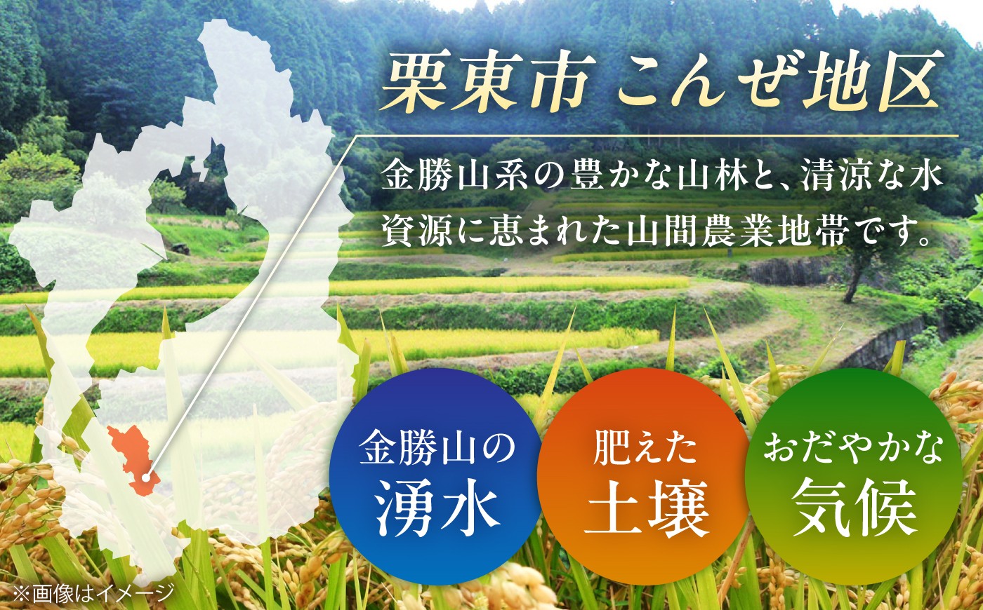 こんぜ清流米 コシヒカリ お米 白米 ご飯 コメ 特別栽培米 近江米産