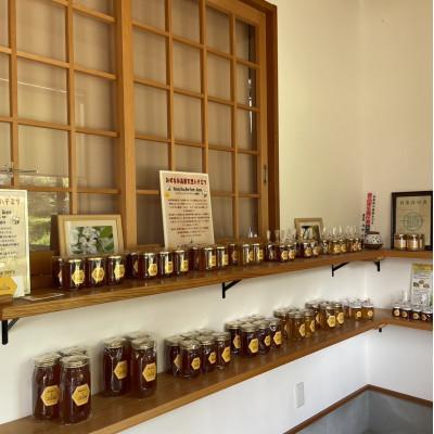 ふるさと納税 瑞浪市 純粋ハチミツ(山桜500g×2) |  | 02