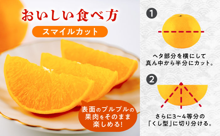 【2026年2月下旬から発送】せとか みかん 約2.5kg 果物 化粧箱入り フルーツ ギフト【小春農園】 [ZBN002]