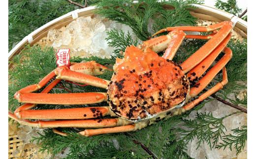 【先行予約】ブランドタグ付き 松葉ガニ（ボイル）1枚（800g以上）【年明け配送】《ずわいがに　かに　カニ　蟹》