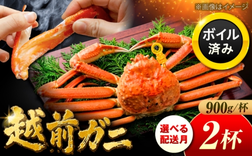 【先行予約/11月7日より順次発送】 越前がに 900ｇ×2杯 小浜市 / まるほ商店 【配送不可地域：北海道・沖縄・離島】[BFCS028-11]