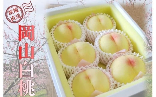 
            桃 2026年 ご家庭用 岡山 白桃  約2kg（5～10玉）【白桃 桃 モモ 岡山県 岡山市産 国産 フルーツ 果物 新鮮 おすすめ 人気】
          