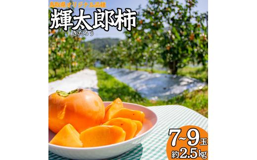 21M.輝太郎柿7～9玉