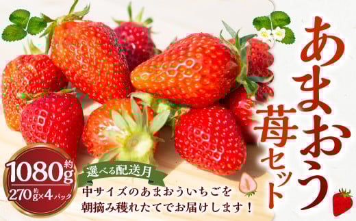 よかもんいちご あまおう苺セット4パック 【2026年3月 発送予定】 あまおう いちご イチゴ 苺 よかもん苺 朝摘み 穫れたて 果物 くだもの フルーツ デザート 福岡県 うきは市