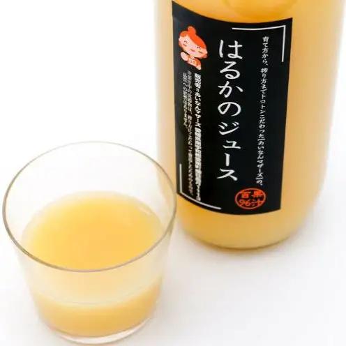 果汁100% ストレートジュース はるかジュース 河内晩柑ジュース 各1本 計2本 セット (1000ml×2本) 7000円 数量限定 期間限定 高級 贈答 ギフト プレゼント 母の日 おやつ 国産