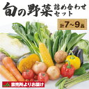 【ふるさと納税】むなかた旬のお任せセット(野菜) 7～9品【JAほたるの里】_HA1569 送料無料お野菜 詰め合わせ お楽しみ 季節 新鮮 産直 宗像市