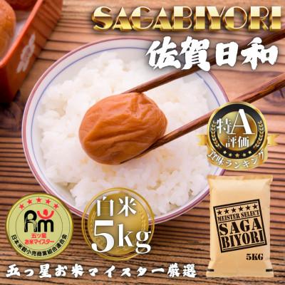 ふるさと納税 多久市 令和7年産 さがびより白米5kg(多久市)
