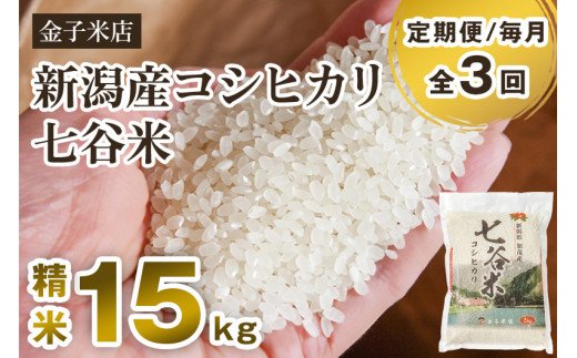 【令和7年産】【定期便3回毎月お届け】老舗米穀店が厳選 新潟県加茂市産コシヒカリ「七谷米」精米15kg（5kg×3）〈順次出荷〉 従来品種 白米 窒素ガス充填パックで鮮度長持ち 金子米店