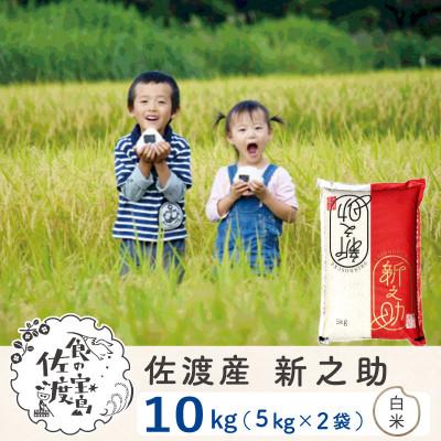 ふるさと納税 佐渡市 佐渡島産新之助 白米10Kg(5Kg×2袋) 令和7年産【食の宝島佐渡】