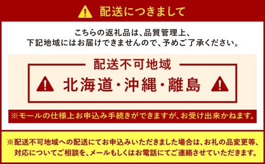 博多あまおう DX上級品 約1kg（約250g×4パック入り）