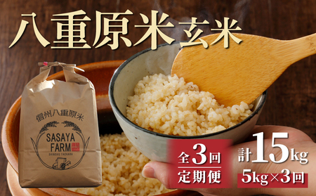 【寄附額改訂↓】令和８年新米予約【3回定期便】八重原米5kg（5kg×1袋）合計15kg 玄米 コシヒカリ 特A米 ※2026年10月以降順次発送｜笹屋農園「農薬削減長野県認証取得」先行予約 お米
