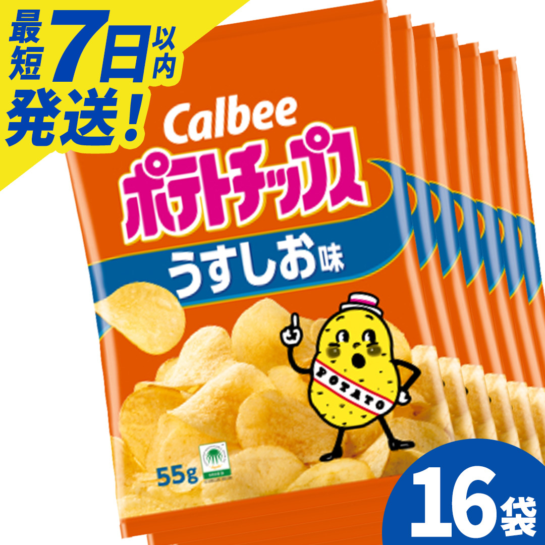 ポテトチップス カルビー うすしお味 55g×16袋 (BG026)