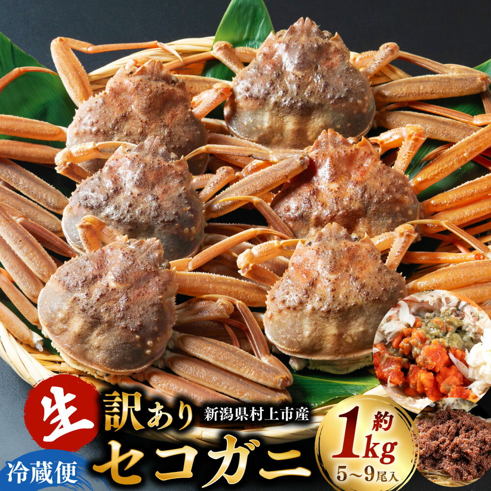 【ふるさと納税】【年明け順次発送・数量限定】＜訳あり＞ 冷蔵便 生セコガニ 約1kg （5～9尾入） 蟹 カニ 海鮮 魚介類 甲殻類 産地直送 クール お取り寄せ 新潟県 村上市 1079005