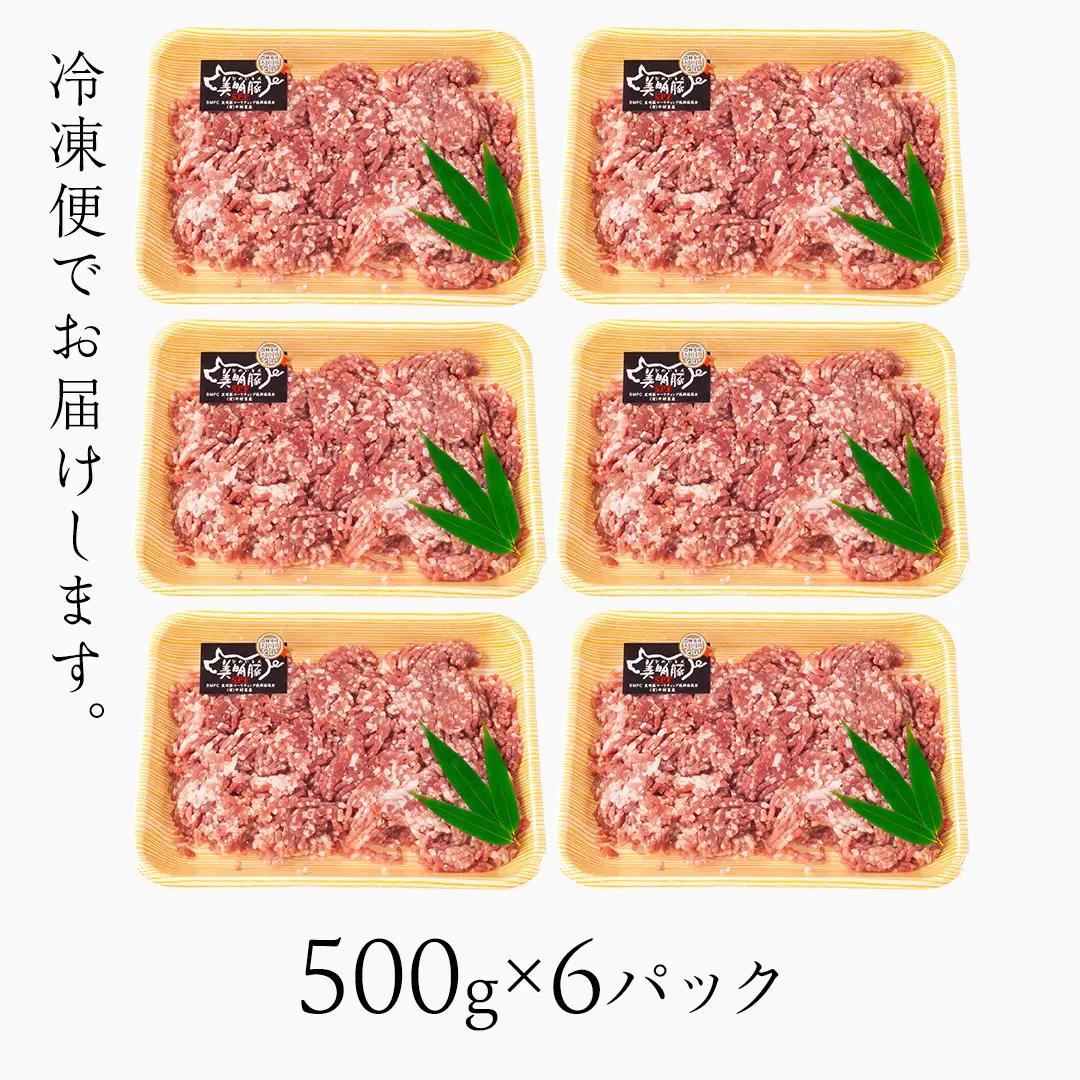 美明豚 挽肉 3kg【茨城県共通返礼品 行方市】 豚肉 国産 銘柄 グルメ 茨城県 料理 ひき肉 ミンチ お肉 肉 豚 ミンチ肉 ブランド豚 冷凍 小分け [CV002sa]