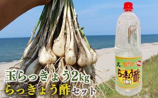 328.【先行予約】朝堀り玉らっきょうと老舗のらっきょう酢セット ※5月中旬～6月下旬頃に順次発送予定【らっきょ らっきょう 漬物 鳥取県 北栄町 おすすめ 人気 送料無料】