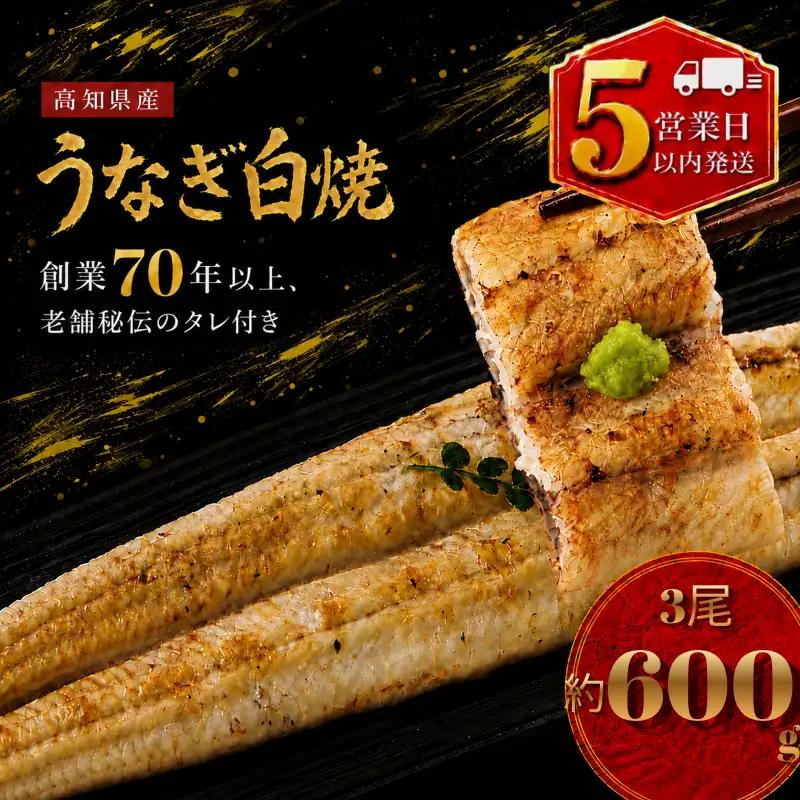 【スピード発送】 国産 うなぎ 白焼 3尾 約600g