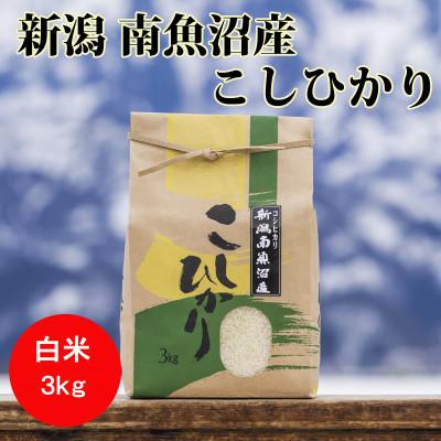 ふるさと納税 南魚沼市 【令和7年産 】南魚沼産こしひかり(精米)【3kg】