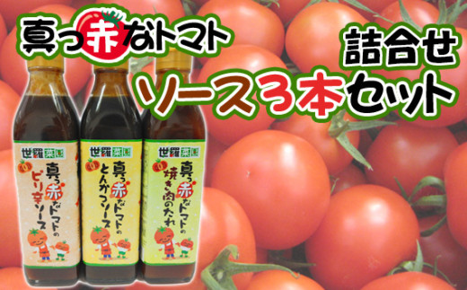 No.288 真っ赤なトマトソース3本詰合せセット ／ 調味料 ピリ辛 たれ とまと 酸味 世羅菜園 広島県