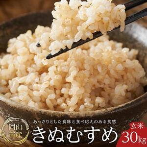 令和8年産 米 玄米 きぬむすめ 岡山市産 ( 30kg × 1袋 )
