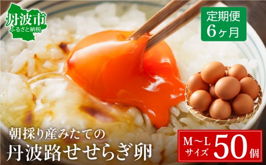 【6ヶ月定期便】村上さん家のせせらぎ卵 45個＋破卵補償5個（計50個） 天然ハーブ飼育 兵庫県丹波市産