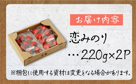 【先行予約】【農家直送】いちごに想いをのせて「恋みのり」220g×2パック【鐘ヶ江農園】[IBH001]