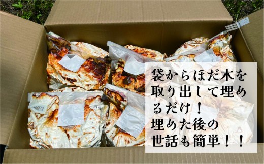 原木まいたけ栽培用のホダ木（栽培用原木）