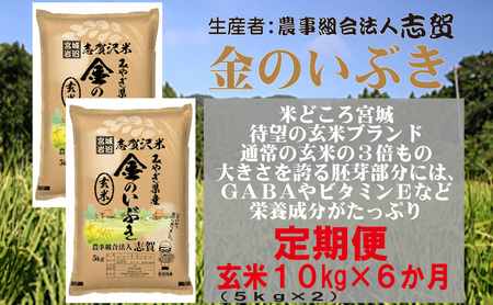 【6ヶ月定期便】宮城県岩沼市産 志賀沢米 金のいぶき 玄米10kg(5kg×2）