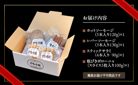 おつまみ詰合せ けむり屋 無添加 ソーセージ サラミ おつまみ詰合せ