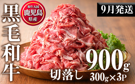 No.1015-m09 ＜2025年9月中に発送予定＞鹿児島県産黒毛和牛切落し(計900g・300g×3P)牛肉 切落し 切り落し 和牛 冷凍 国産 九州産 小分け 国産牛 お肉 牛丼 野菜炒め カレー 冷凍【カミチク】