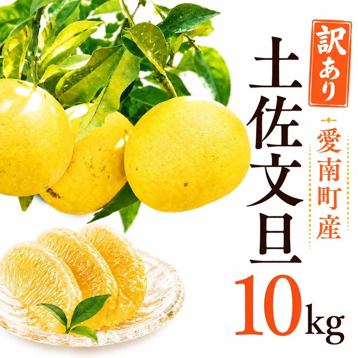 【先行予約】訳あり 土佐文旦 約10kg 文旦 エニシトラス 愛媛 愛南