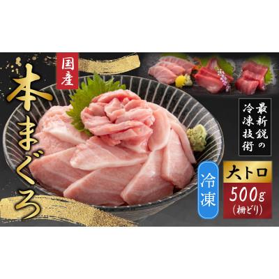 ふるさと納税 福井市 【最新鋭の冷凍技術 刺身用】本まぐろ 大トロ 500g(柵どり)
