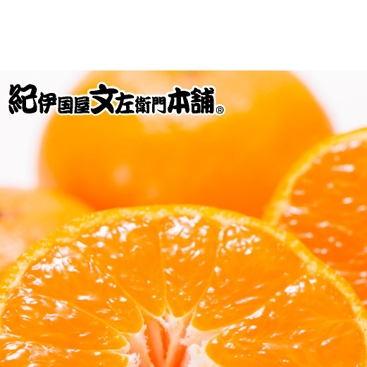 【2026年先行予約】田村みかん／5kg秀品【大玉サイズ】_V7451