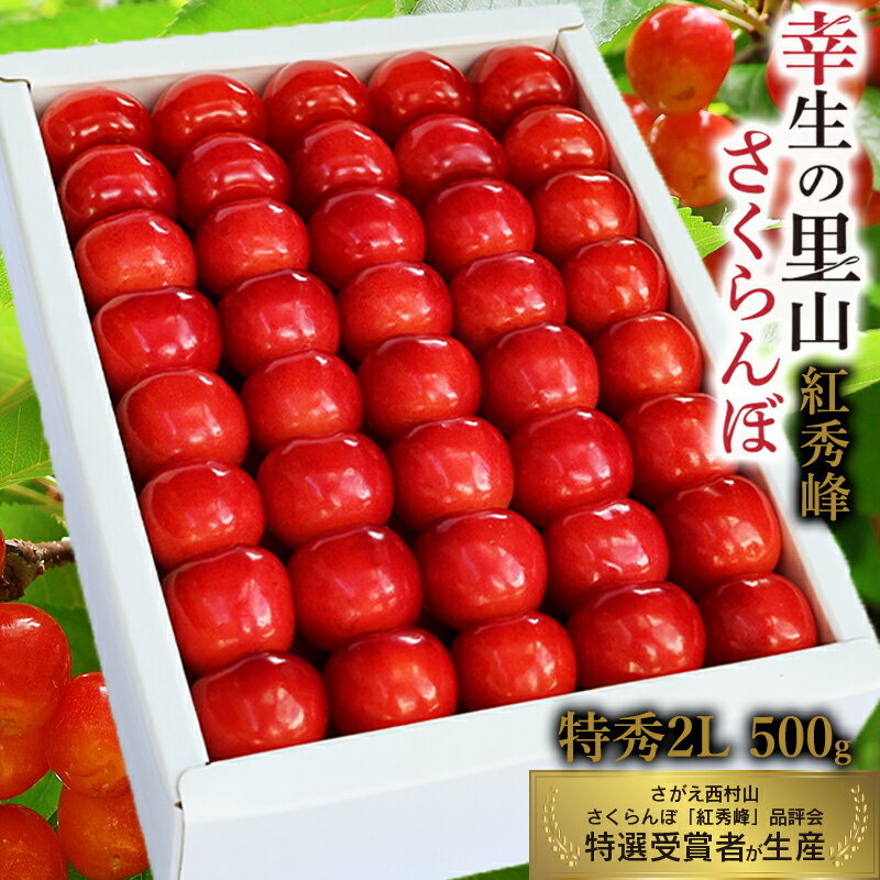 【ふるさと納税】《受付終了間近！》山形県産 幸生の里山 さくらんぼ 「紅秀峰」2Lサイズ 特秀品 500g 化粧詰（発泡スチロール包装）【2025年6月下旬頃〜7月中旬頃発送予定】 ／ 2025年産 令和7年産 フルーツ 果物 くだもの 逸品 特産 山形産 山形県産 寒河江市