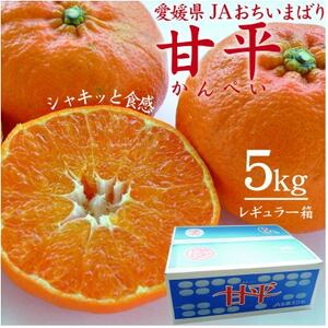 【先行受付】人気柑橘　甘平(かんぺい)レギュラー箱　5kg　愛媛県　JAおちいまばり【配送不可地域：離島】【1622635】