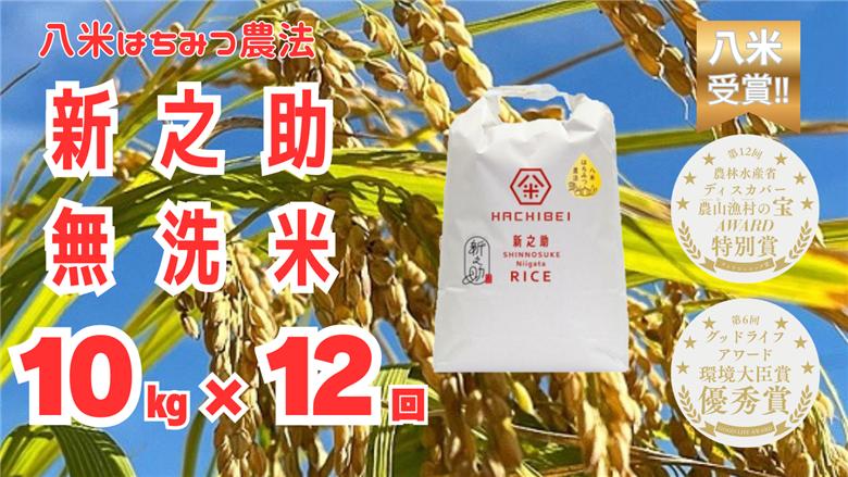 【令和8年産新米予約】【環境大臣賞受賞】【特別賞受賞】12ヶ月定期便 無洗米 はちみつ農法 新之助 10kg×12回 計120kg 10月中旬より順次発送予定 1L28313