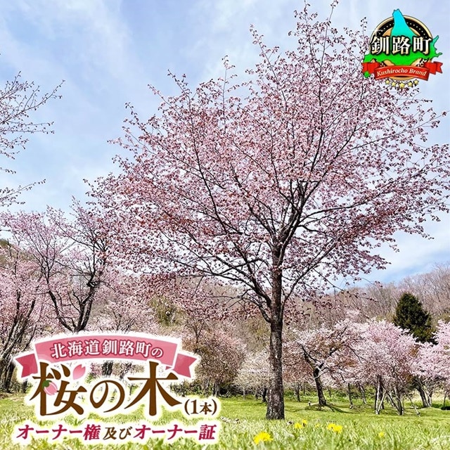 北海道釧路町の桜の木(1本)のオーナー権及びオーナー証＜植樹開催＆プレートお届け時期：2025年5月ごろ＞ | 北海道 釧路町 別保公園 桜の木 桜の苗 桜の苗木 桜 さくら 自然 保護 植樹体験 体験 北海道 先行予約 結婚 誕生
