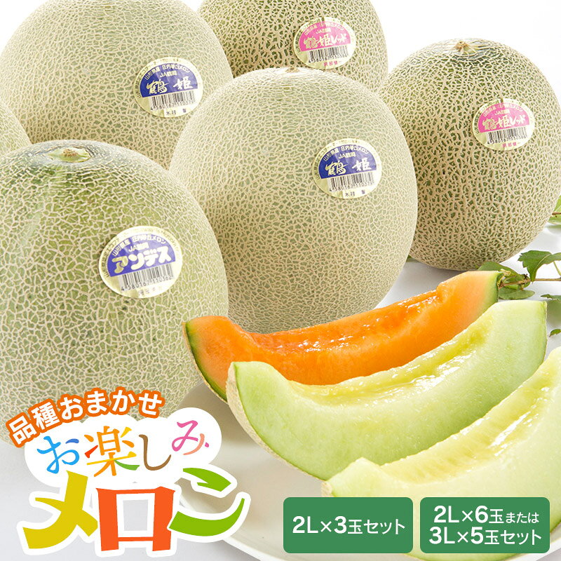 【ふるさと納税】【令和9年産先行予約】 お楽しみメロン［2Lサイズ×3玉セット］［3L5玉 または 2L6玉 セット］アンデスメロン・鶴姫メロン・鶴姫レッドメロンの中からお届け 山形県 鶴岡市産 K-936/K-960 | 鶴岡市 返礼品 フルーツ 果物 くだもの 食べ比べ 庄内砂丘