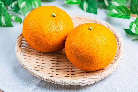 訳あり 紅甘夏 約 8kg | 甘夏