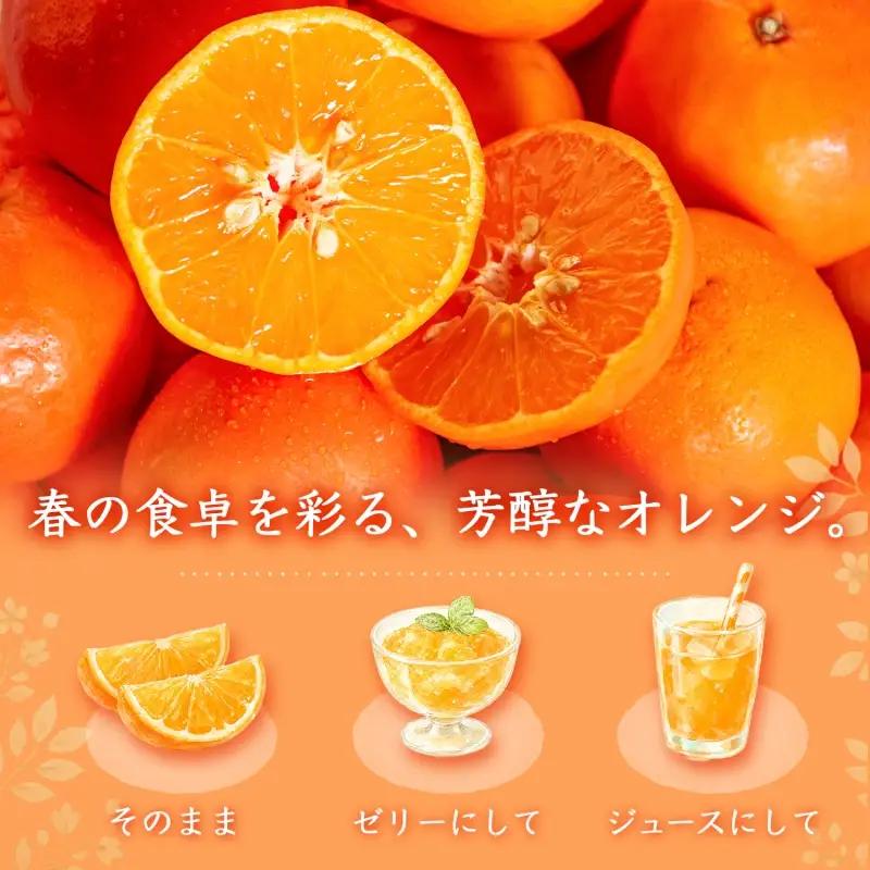 ジューシー柑橘　セミノールオレンジ　約5kg【2027年5月上旬頃〜2027年5月下旬頃に順次発送予定】