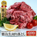 【ふるさと納税】葉山牛 切り落とし300g×2パック【株式会社羽根】[AKAG001]