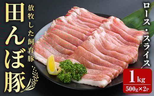 田んぼ豚 ロース スライス 1kg（500g × 2パック) 豚肉 ぶた ブタ しゃぶしゃぶ 生姜焼き 放牧飼育 小分け 【株式会社いなほ】 tm260