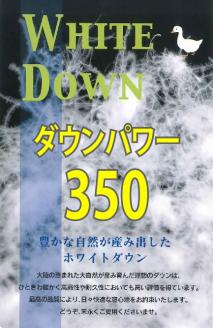 羽毛ふとん（抗ウイルス・抗菌加工）　シングル　ホワイトダウン８５％