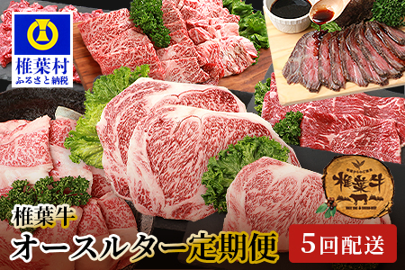 【定期便5回】総重量3.5kg！椎葉牛オールスター定期便≪ローストビーフ・切り落とし・焼き肉・スライス・ステーキ≫【A5等級指定 黒毛和牛】A5ランク a5【日本三大秘境 椎葉村 育ちの黒毛和牛】