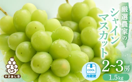 
            ＜2026年発送 先行受付＞シャインマスカット　2～3房 1.5kg【1565515】
          