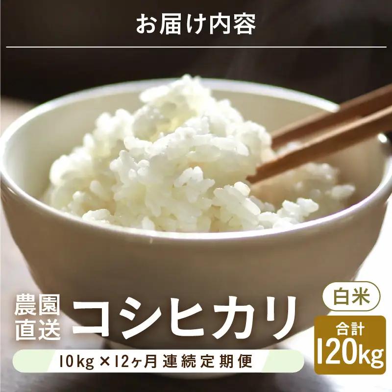 【先行予約】【令和8年産・新米】【農家直送定期便 12ヶ月コース】【白米】 本原農園のまごころコメた 福井県産 コシヒカリ 10kg × 12回 計120kg 【2026年10月上旬以降順次発送】 [
